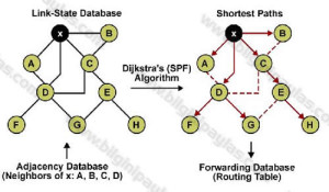 ospf